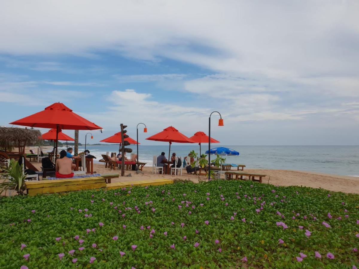 Blue Horizon Beach Hotel Tangalle Exteriör bild